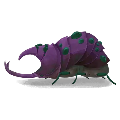 Slumbering Beetle